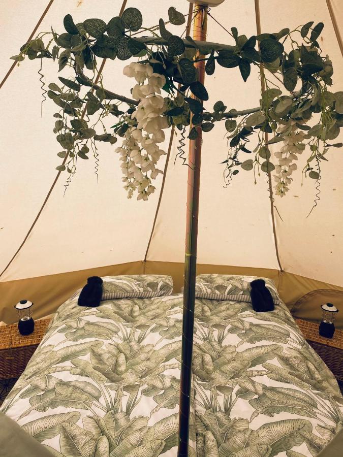 Duneden Belle Glamping Randalstown Exteriér fotografie