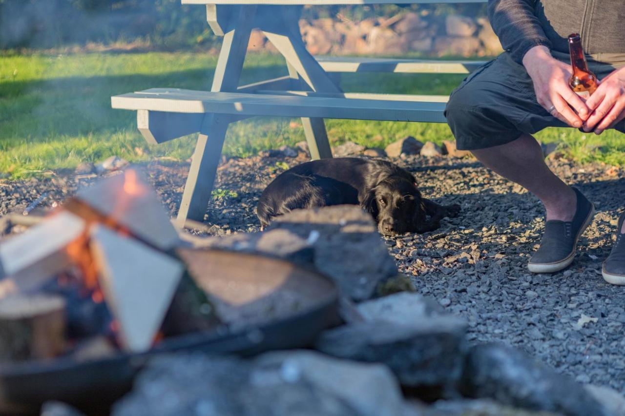 Duneden Belle Glamping Randalstown Exteriér fotografie